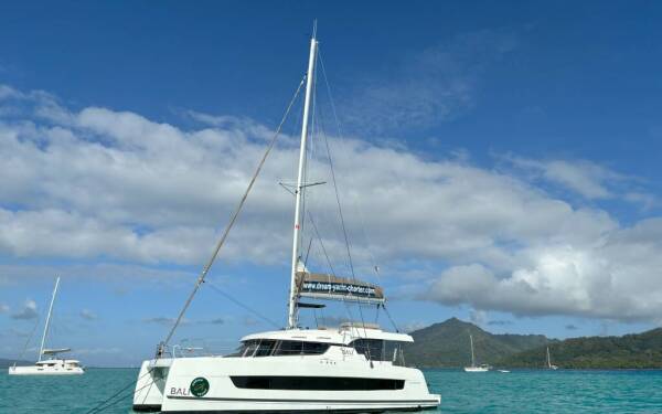 Bali Catspace ENDEAVOUR