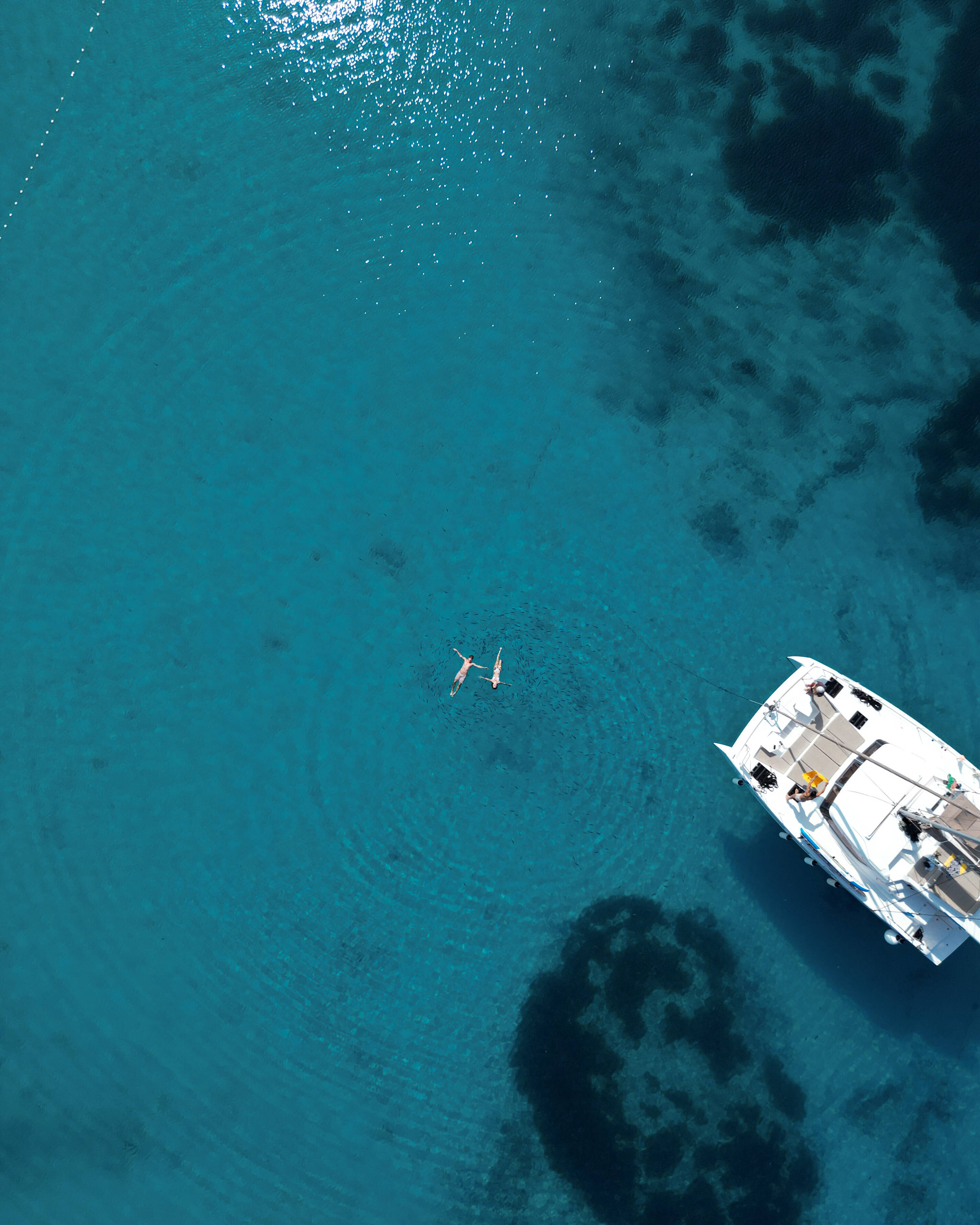 Bali Catspace My5ive