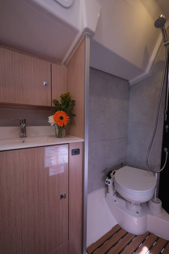 Segelyacht Bavaria C38 Coral