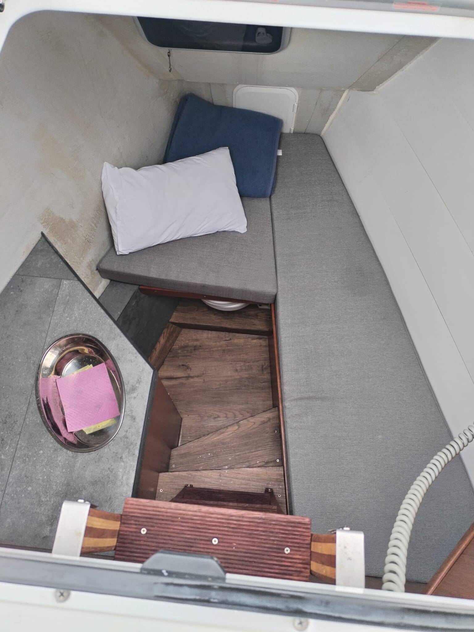 Bavaria C50 Roza Deflores 2