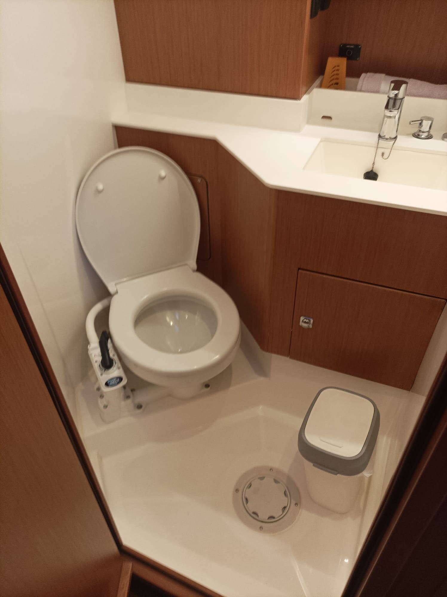 Bavaria C50 Roza Deflores 2