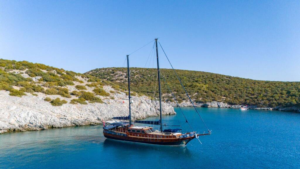 Capricorn 1 Capricorn 1