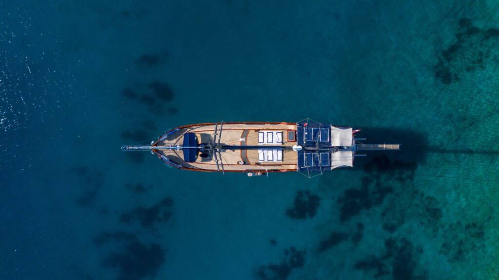 Capricorn 1 Capricorn 1