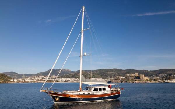 Carpediem coral Carpe Diem Coral