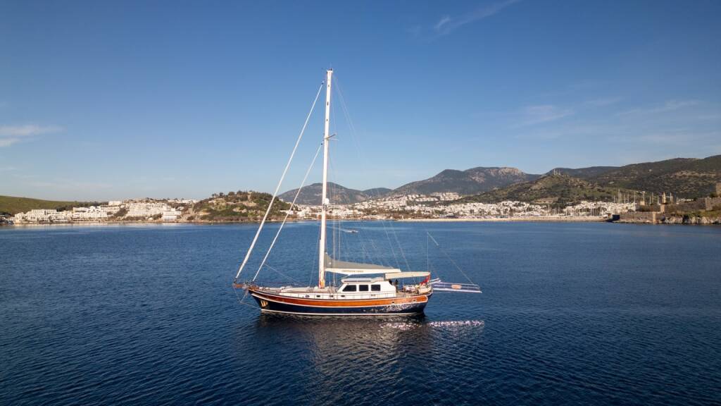 Carpediem coral Carpe Diem Coral