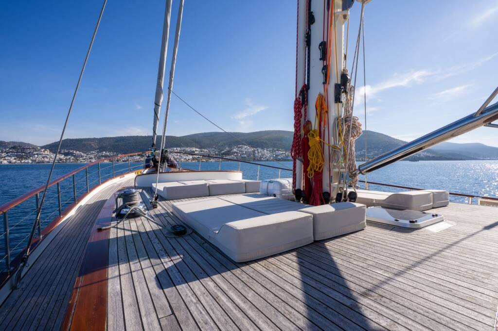 Carpediem coral Carpe Diem Coral