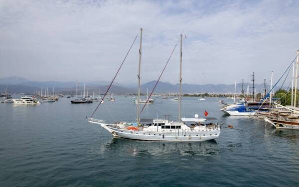 Diamond Lila Diamond Lila