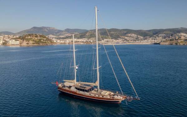 Dragon fly Dragon Fly