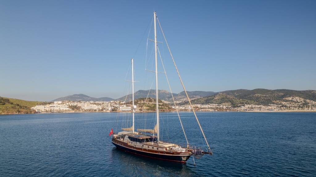 Dragon fly Dragon Fly