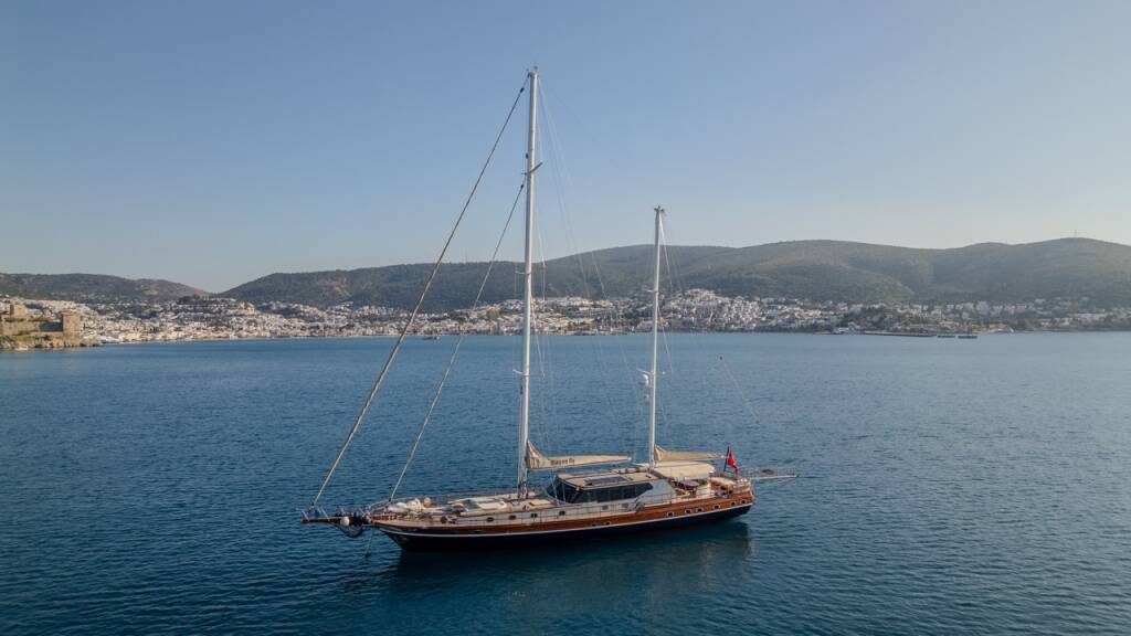 Dragon fly Dragon Fly