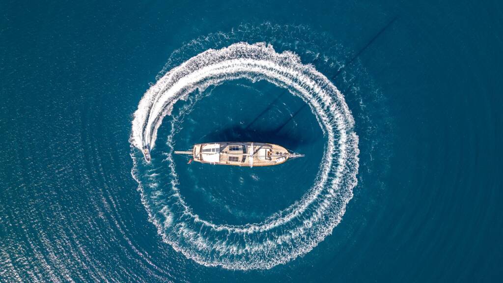 Dragon fly Dragon Fly