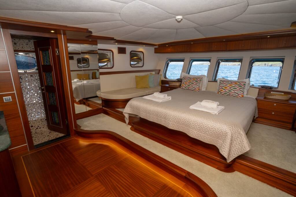 Dragon fly Dragon Fly