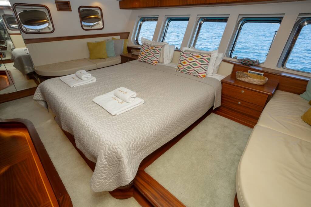 Dragon fly Dragon Fly