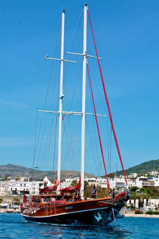 Il Fratello Il Fratello