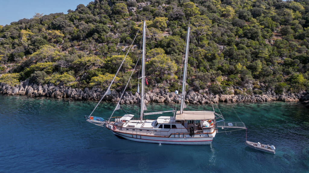 Junior Tarkan Junior Tarkan