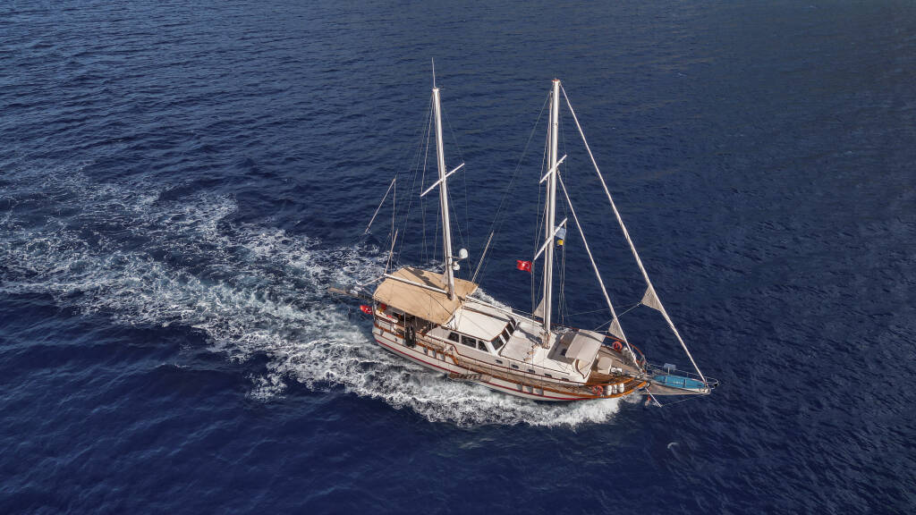 Junior Tarkan Junior Tarkan