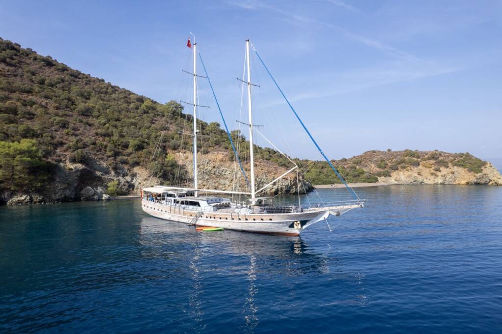 Prenses Lila Prenses Lila