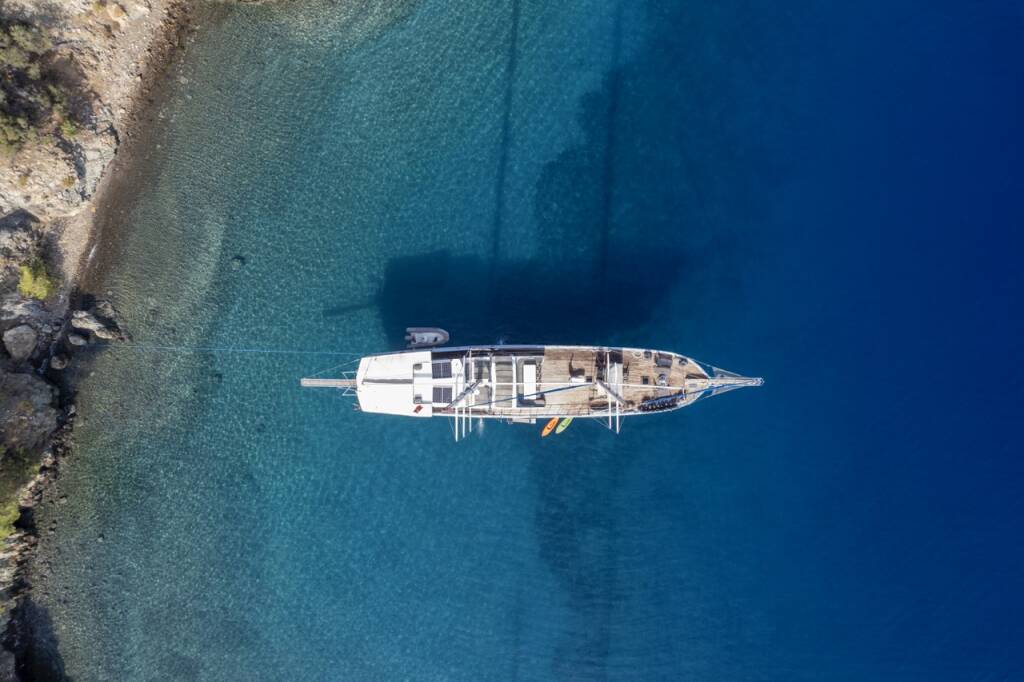 Prenses Lila Prenses Lila