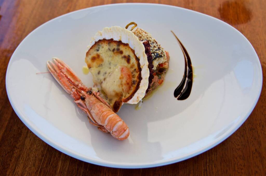 Queen of Adriatic Queen of Adriatic